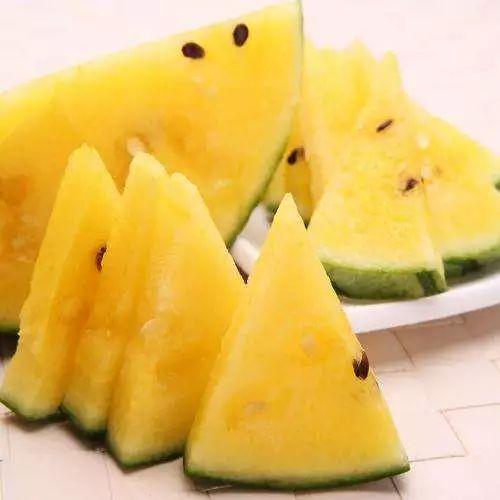 什么鱼吃黑蜜瓜,揭示哪种鱼是它的美味猎物