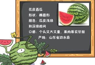 今日吃瓜历史记录最新,揭秘娱乐圈最新热点事件