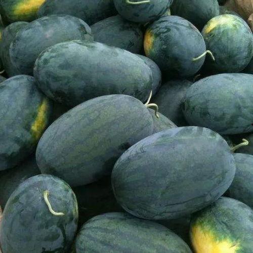 黑社暗区吃瓜,揭秘网络吃瓜背后的真相与内幕