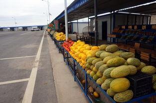 瓜州县柴油价格查询今日,瓜州县今日柴油价格一览