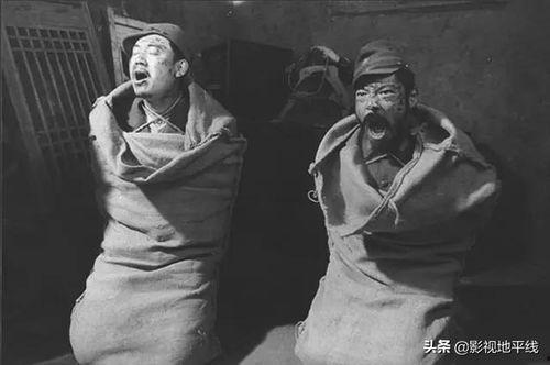 鬼子来了电影,抗战烽火中的民族抗争与人性光辉