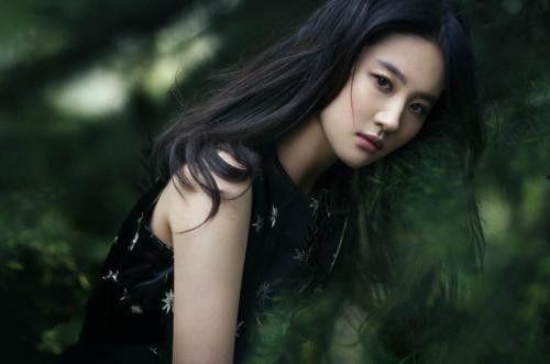 明星网红哪个能长久,哪些明星网红能持久走红，揭秘成功秘诀