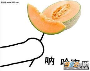 热门表情包哈密瓜是什么