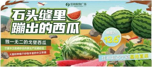 热门大瓜51吃瓜,揭秘热门大瓜背后的真相与内幕