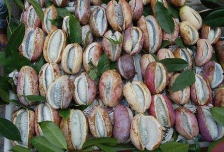 八月瓜热门歌曲有哪些,旋律动人，歌声传情