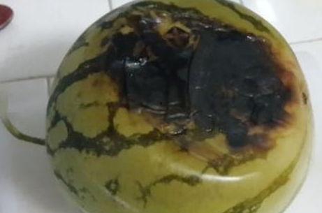 暗黑吃瓜黑料,揭秘娱乐圈背后的黑料风云