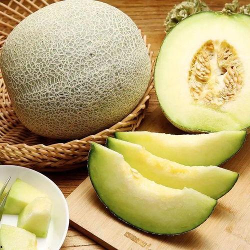 上热门 网纹蜜瓜好评,夏日消暑佳品推荐