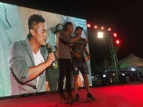 男明星网红歌手转型,男明星网红歌手的华丽转型之路