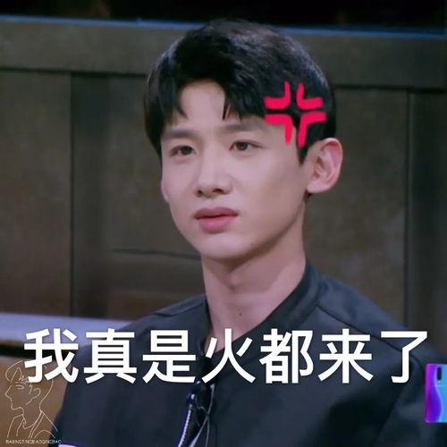 男明星网红歌手转型,男明星网红歌手的华丽转型之路