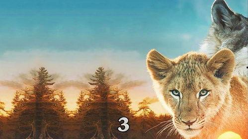 动物电影,跨越物种的友谊与冒险