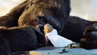 动物电影,跨越物种的友谊与冒险