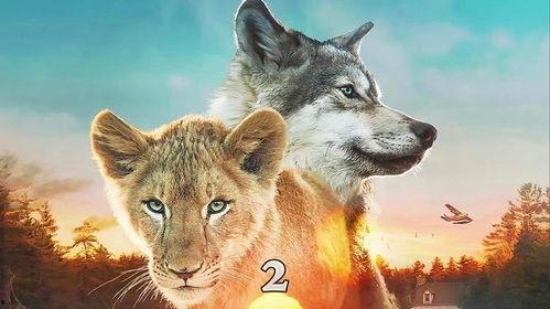 动物电影,跨越物种的友谊与冒险