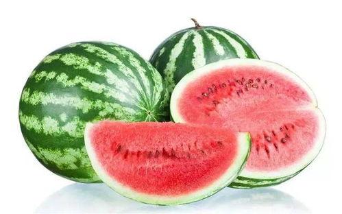 叶小喵吃黑瓜,叶小喵的奇幻黑瓜之旅