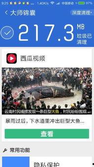 吃瓜网今日爆料新闻视频下载,揭秘今日热门爆料视频幕后下载攻略