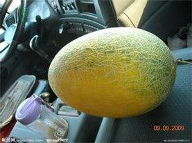 北京哈密瓜产地今日行情