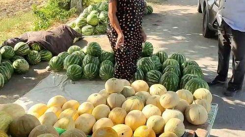 缅甸热门吃瓜网站,揭秘娱乐圈最新热点与幕后故事