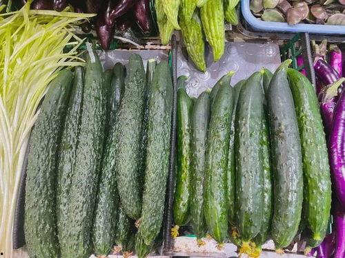 缅甸热门吃瓜网站,揭秘娱乐圈最新热点与幕后故事