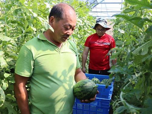 小瓜上热门,揭秘短视频爆火的秘密武器