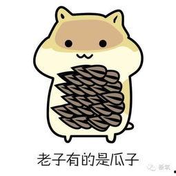 小逗逗吃瓜黑料,揭秘娱乐圈背后的真相