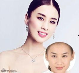 明星网红区别图片对比,外貌与气质的差异化对比解析