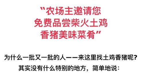 今日文案吃瓜有感怎么写,揭秘娱乐圈幕后真相