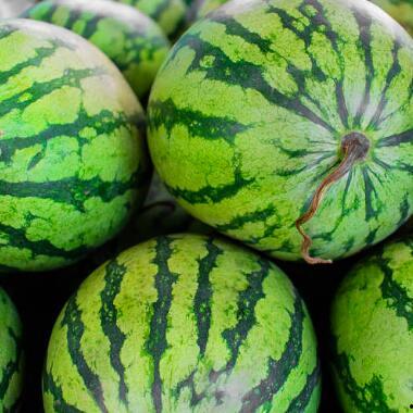 海宁今日是否有大瓜卖的,新鲜热辣，不容错过！