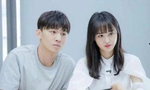 专家痛批明星网红,专家犀利点评与行业反思