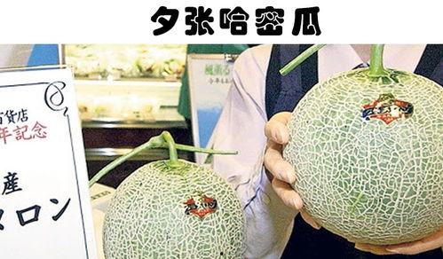 今日哈密瓜行情报价,今日价格走势一览