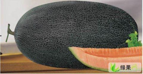 今日哈密瓜行情报价,今日价格走势一览