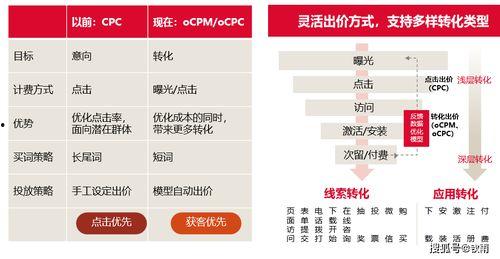 今日头条白瓜价格表,白瓜价格波动，市场行情一览