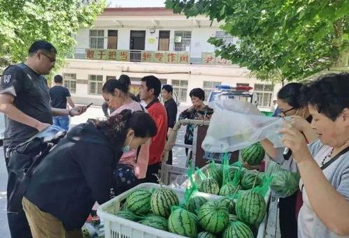 封丘热门吃瓜事件,揭秘当地热门街头美食风云录