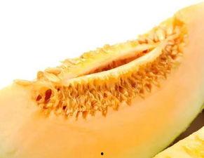 怎么吃黑蜜瓜不上火,黑蜜瓜吃法攻略，轻松不上火