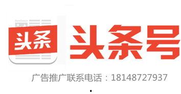 北京瓜洲今日头条新闻,聚焦城市发展新动态，探寻历史与现代交融之美