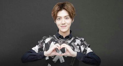 鹿晗今日吃瓜完整版,完整版揭秘幕后真相