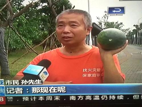 高中热门吃瓜事件