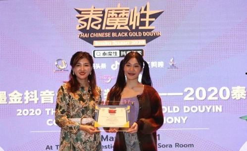 中国整治明星网红视频