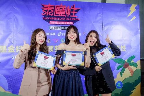 中国整治明星网红视频