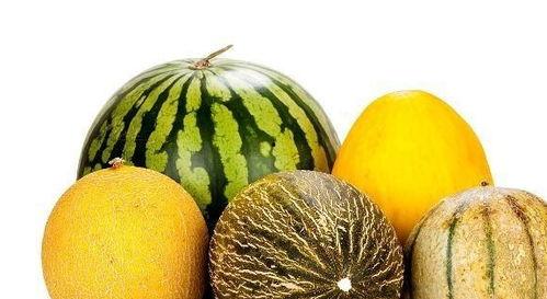 黑老瓜能吃吗怎么吃