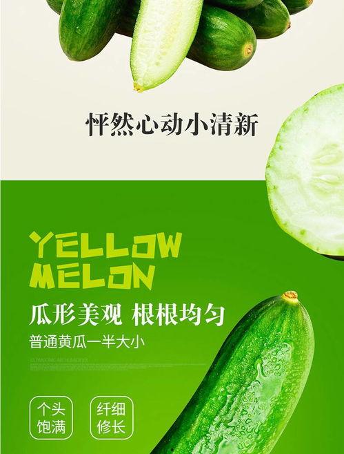 惠州今日鲜瓜价格表最新,市民关注市场动态