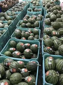 吃瓜热门聚集地