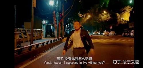 明星网红出圈神图,明星效应再掀热潮