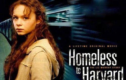 风雨哈佛路电影,逆境中的奋斗与梦想之旅