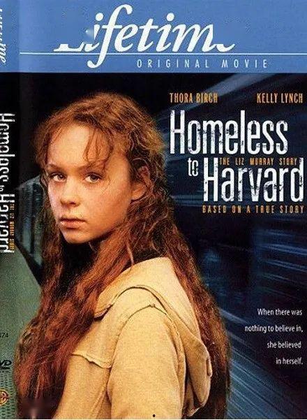 风雨哈佛路电影,逆境中的奋斗与梦想之旅