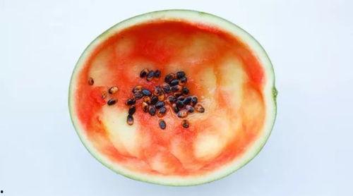 黑瓜吃料是什么东西,探寻黑瓜吃料的神秘之谜