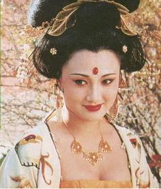 明星网红杨贵妃简介