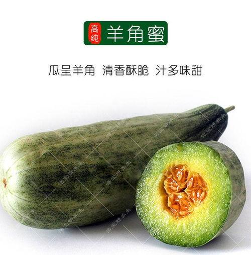 热门羊角瓜种子,热门品种盘点与种植技巧揭秘