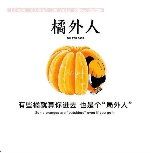 抖音热门瓜图片,揭秘热门瓜背后的真相与秘密