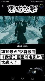 找电影,探寻经典电影的魅力之旅