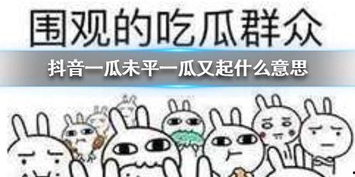 抖音吃瓜热门词,揭秘网络热议背后的秘密