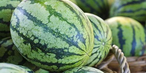 以前热门的瓜,揭秘那些年我们追过的热门瓜